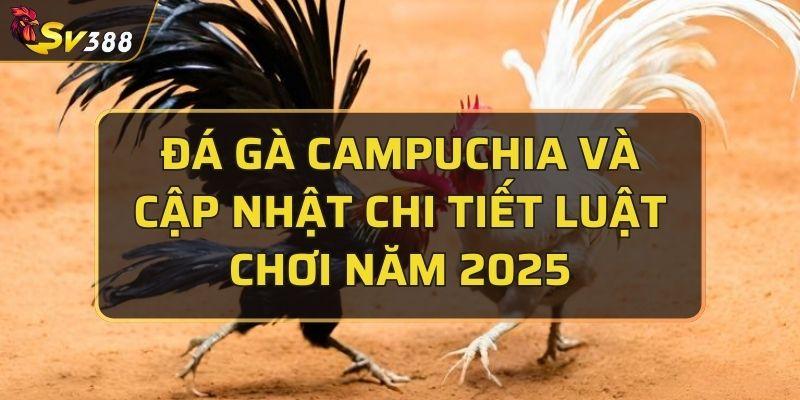 Đá gà Campuchia