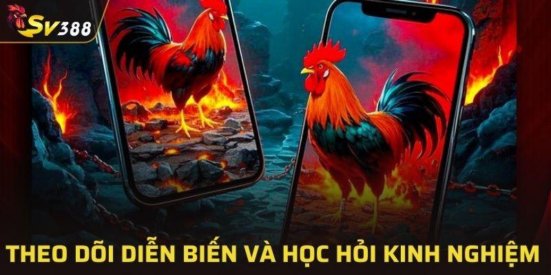 Theo dõi diễn biến và học hỏi kinh nghiệm từ sư kê