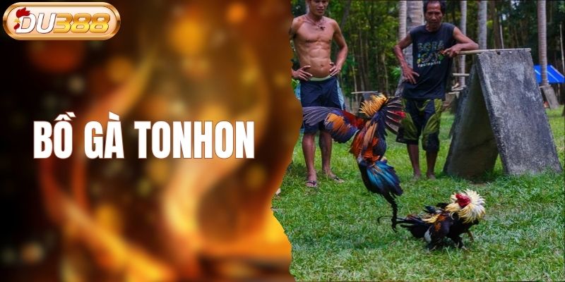 bồ gà tonhon
