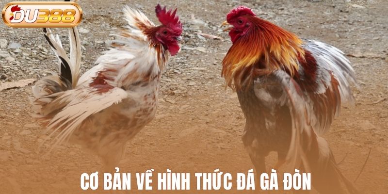 Cơ bản về hình thức đá gà đòn
