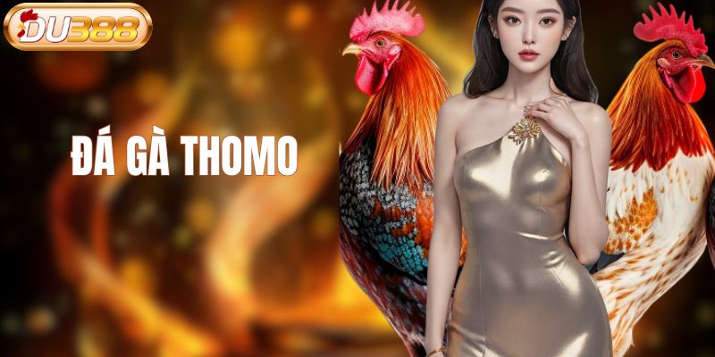 đá gà thomo