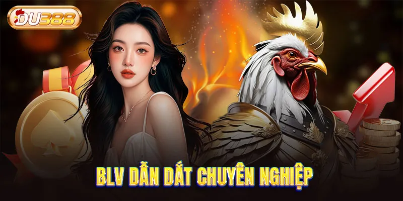BLV dẫn dắt chuyên nghiệp
