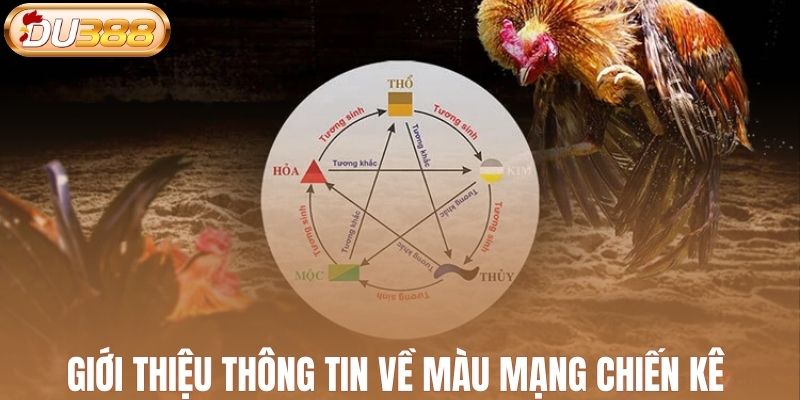 Giới thiệu thông tin về màu mạng chiến kê