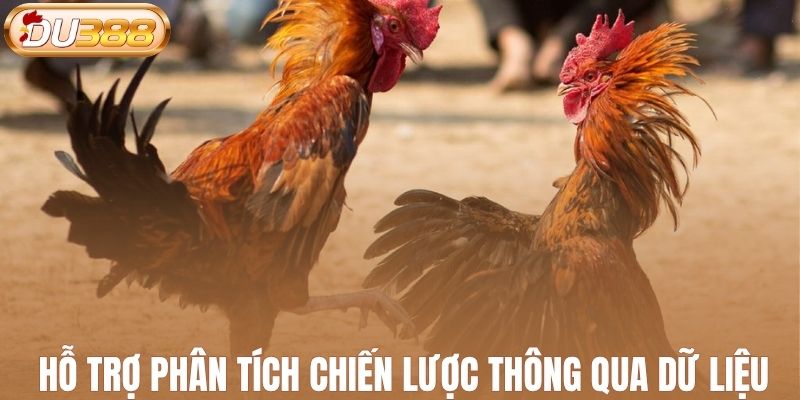 Hỗ trợ phân tích chiến lược thông qua dữ liệu
