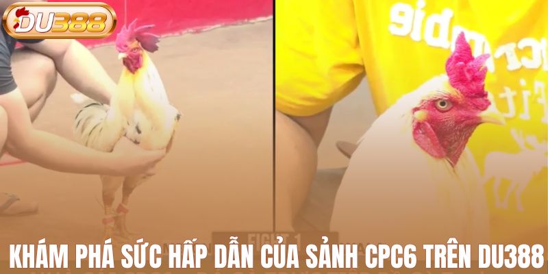 Khám phá sức hấp dẫn của sảnh CPC6 trên DU388
