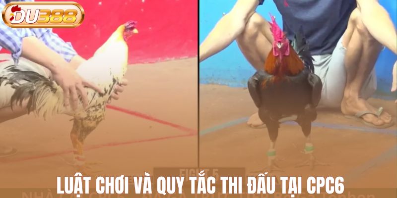 Luật chơi và quy tắc thi đấu tại CPC6
