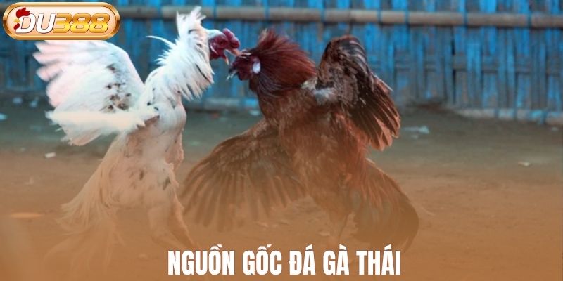Nguồn gốc đá gà Thái