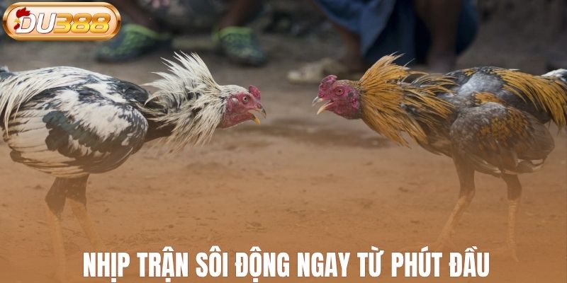 Nhịp trận sôi động ngay từ phút đầu
