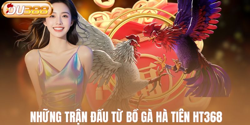 Những trận đấu hấp dẫn từ bồ gà Hà Tiên