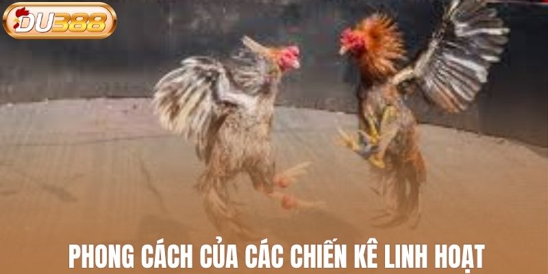 Phong cách của các chiến kê linh hoạt