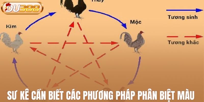 Sư kê cần biết các phương pháp phân biệt màu lông gà