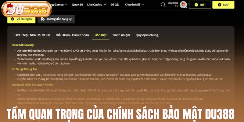 Tầm quan trọng của chính sách bảo mật tại DU388