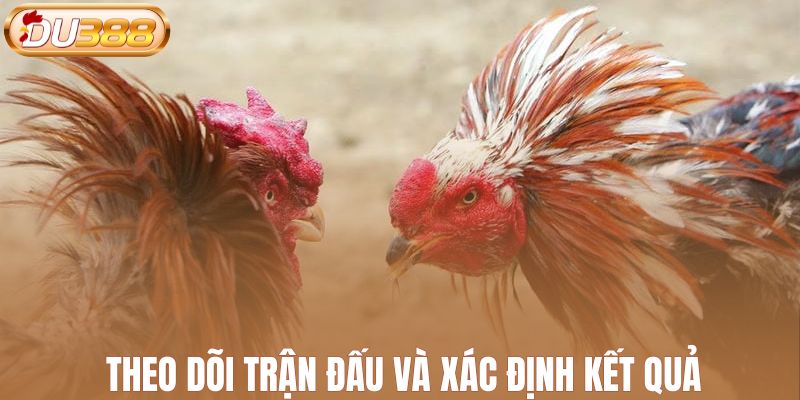 Theo dõi trận đấu và xác định kết quả