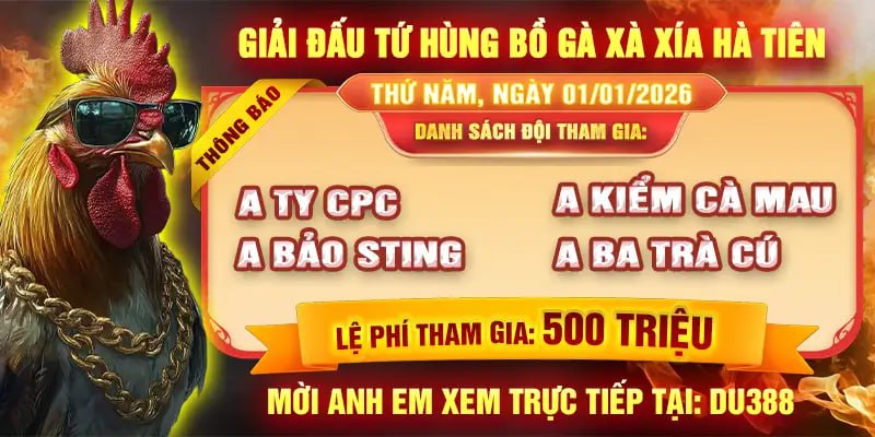 giải đấu tứ hùng bồ gà xà xía