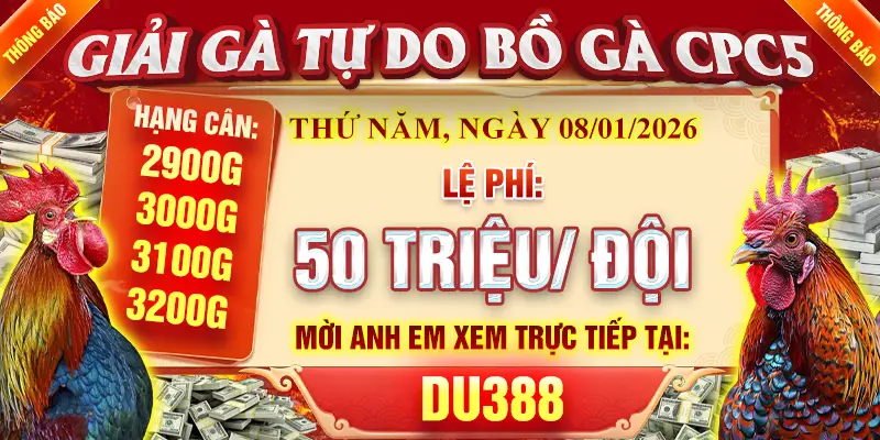 giải gà tự do cpc5 ngày 08/01/2026 tại du388